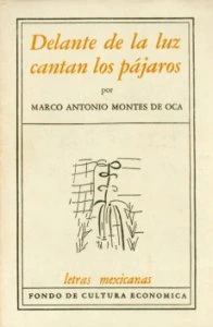 Delante de la luz cantan los pájaros