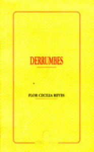 Derrumbes