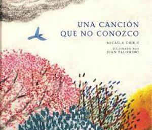 Una canción que no conozco / Micaela Chirif