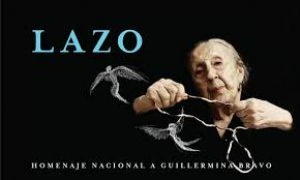 Lazo