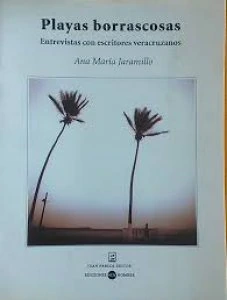 Playas borrascosas: Entrevistas con escritores veracruzanos