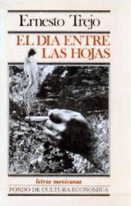 El día entre las hojas