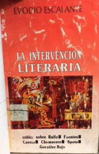 La intervención literaria