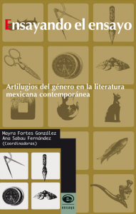 Ensayando el ensayo : artilugios del género en la literatura mexicana contemporánea