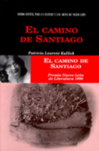 El camino de Santiago