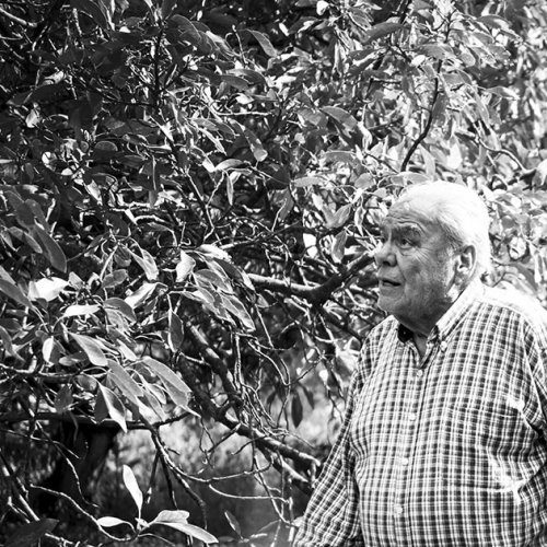 Malpaís Ediciones