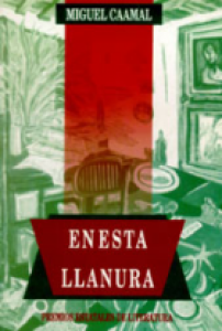 En esta llanura