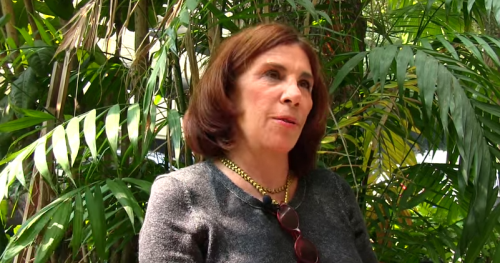 Entrevista a Sabina Berman: <i>El dios de Darwin</i>