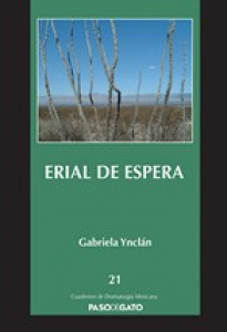 Erial de espera