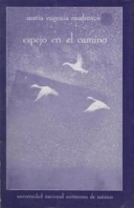 Espejo en el camino