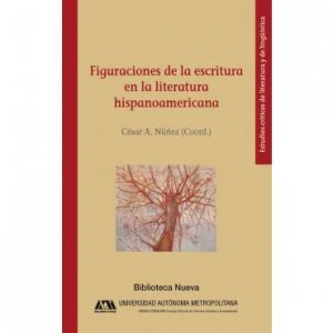 Figuraciones de la escritura en la literatura hispanoamericana