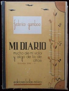 Mi diario V