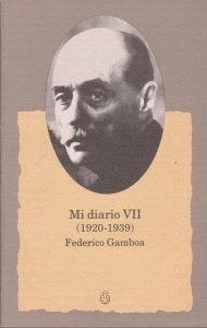 Mi diario VII