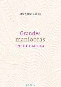 Grandes maniobras en miniatura