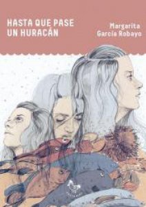 Hasta que pase un huracán