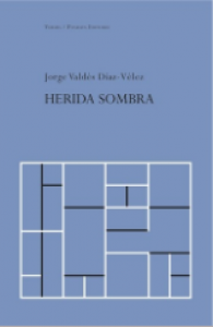 Herida sombra