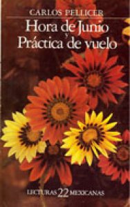 Hora de junio. Práctica de vuelo