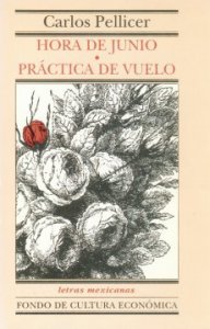 Hora de junio. Práctica de vuelo