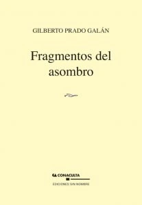 Fragmentos del asombro