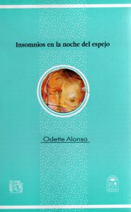 Insomnios en la noche del espejo