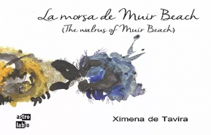 La morsa de Muir Beach