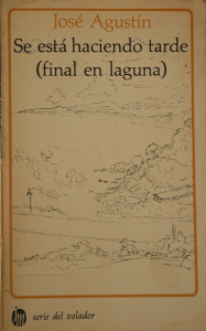 Se está haciendo tarde (final en laguna)