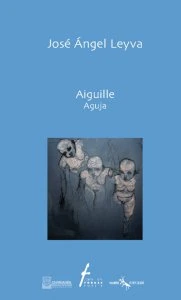 Aiguille