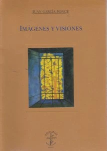 Imágenes y visiones
