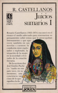 Juicios sumarios I : ensayos sobre literatura