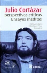 Julio Cortázar. Perspectivas críticas