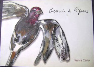 Oración de pájaros
