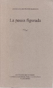 La pausa figurada