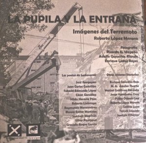 La pupila y la entraña : imágenes del terremoto