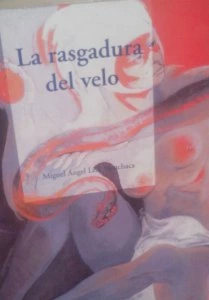 La rasgadura del velo : narradores latinoamericanos del siglo XX