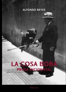 La cosa boba : prosa incidental