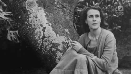Historias de vida - Leonora Carrington