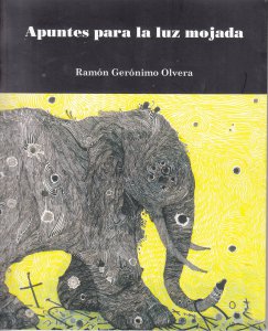 Apuntes para la luz mojada