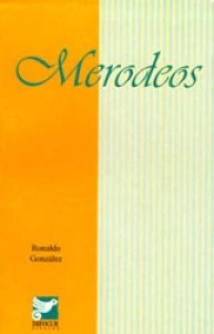Merodeos : una mirada generacional