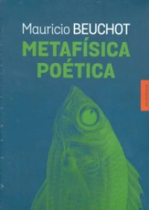 Metafísica poética