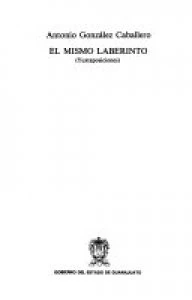 Este mismo laberinto : yuxtaposiciones