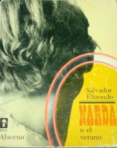 Narda o el verano
