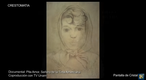 Pita Amor, señora de la tinta americana