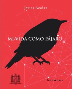 Mi vida como pájaro