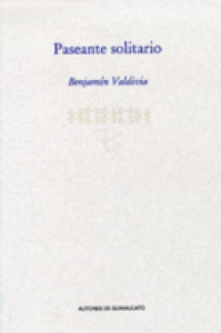 Paseante solitario