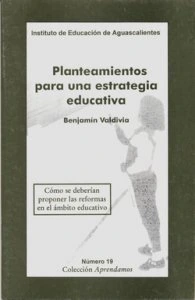 Planteamientos para una estrategia educativa
