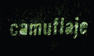 Camuflaje