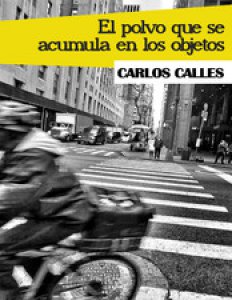 El polvo que se acumula en los objetos