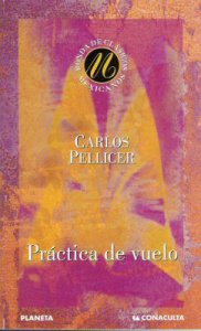 Práctica de vuelo