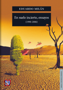En suelo incierto, ensayos  :1990-2006