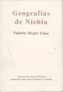 Geografías de niebla